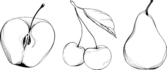 Minimalist line art of fruit slice with cherry and pear for creative design