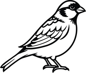 Fototapeta premium vector illustration of a bird