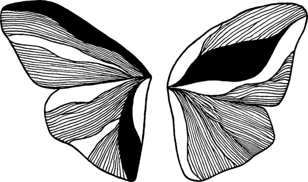 Abstract line art butterfly wings design for creative projects