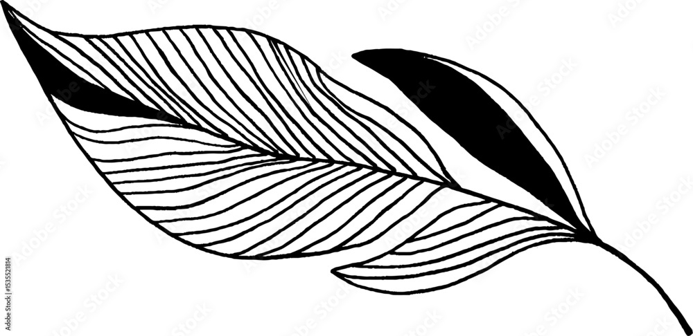 Poster minimalist line art feather with linear texture for elegant design