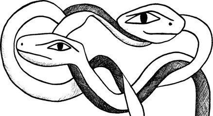 Intricate line art of intertwined snakes forming a decorative border design
