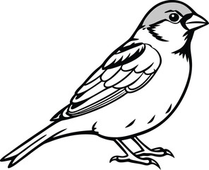 Obraz premium vector illustration of a bird
