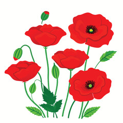 Obraz premium Vibrant vector illustration of red poppy flowers blossoming with green leaves and buds