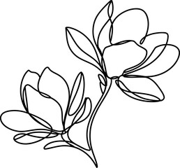 single one line Magnolia flowers line art silhouette on white background