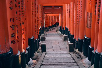 Cammino spirituale sotto i torii di Fushimi Inari, Kyoto