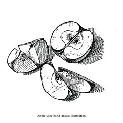 Apple Slice Vintage Hand Drawn Illustration – Botanical Fruit Engraving Sketch