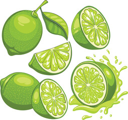 A vibrant vector illustration of fresh and juicy limes with various slices and splashes