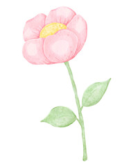 Watercolor cute pastel pink flower with green leaves