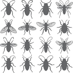 Sixteen Gray Insect Silhouettes Collection Diverse Beetle and Fly Species Top View Illustrations
