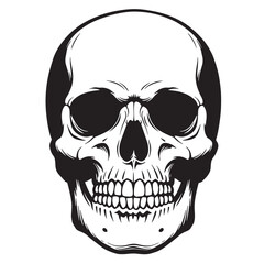 Fototapeta premium A detailed black and white silhouette illustration of a human skull featuring intricate details and a classic design with sharp lines.