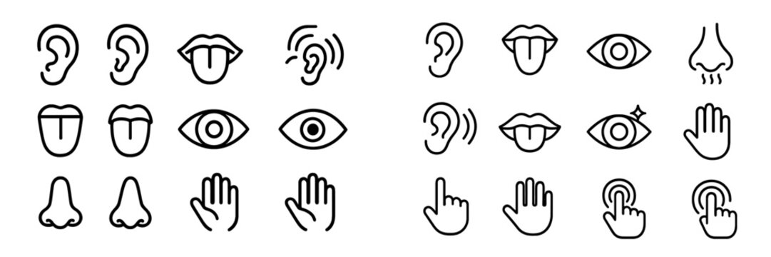 Illustrations of human senses including ears, eyes, nose, tongue, hands, and related actions in a simple linear style