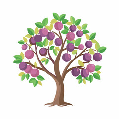 Plum Tree with Ripe Fruits and Green Leaves &ndash; Colorful Fruit Tree Illustration on White Background