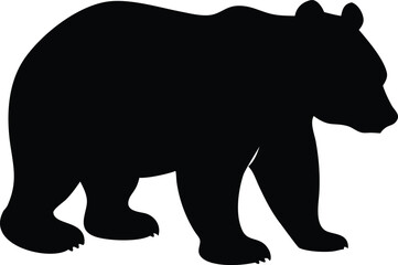 Fototapeta premium Silhouette Bear Walking in Nature Landscape