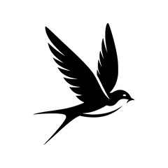 Obraz premium Silhouette of swift bird, flying