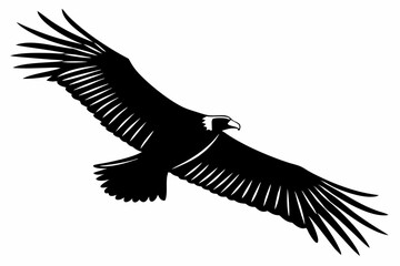 condor bird sihouette black vector 