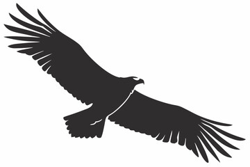 condor bird sihouette black vector 