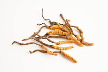 Cordyceps sinensis or Ophiocordyceps sinensis isolated on white background, mushroom herb treatment medicine.
