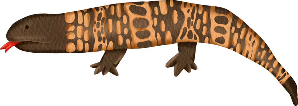 watercolor gila monster