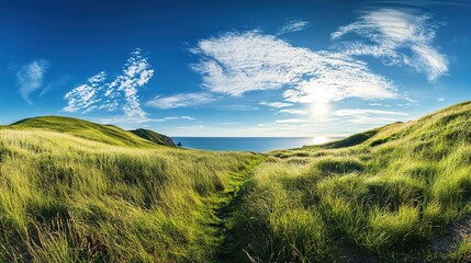 Vibrant Spring Vistas: New Bright Natural Scenery – Spring Blue Skies, White Clouds, and Sunlit Vast Grasslands in Breathtaking Landscape Maps