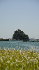 漁港と野原の風景
