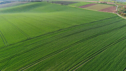 Obraz premium Green wavy hills with agricultural fields