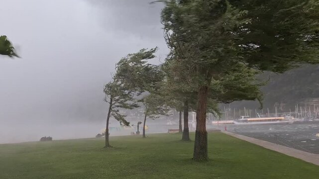 Violent Windstorm Rips Through Port of Biel, Switzerland

