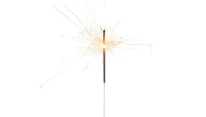 Sparkle Celebration