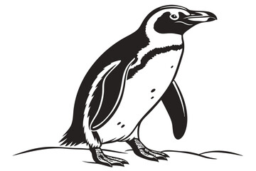 Obraz premium Penguin Vector Illustration Clipart Design