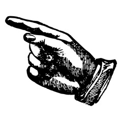 PNG hand drawn vector illustration