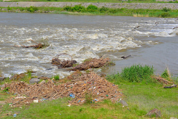 Plant debris washed down the Mures River after consecutive spring storms in Transylvania. The river Mures flows through Transylvania from east to west. Normally it is a calm river