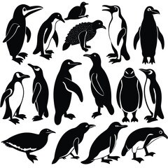 Naklejka premium Collection of various black and white penguin silhouettes for nature and wildlife designs