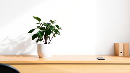Indoor plant in white pot on wooden desk with smartphone nearby  