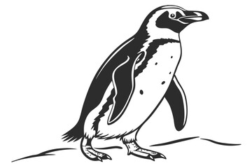 Fototapeta premium Elegant black and white illustration of a standing penguin on a plain white background