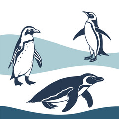 Obraz premium Penguin Vector Illustration Set Featuring Cute Antarctic Animals