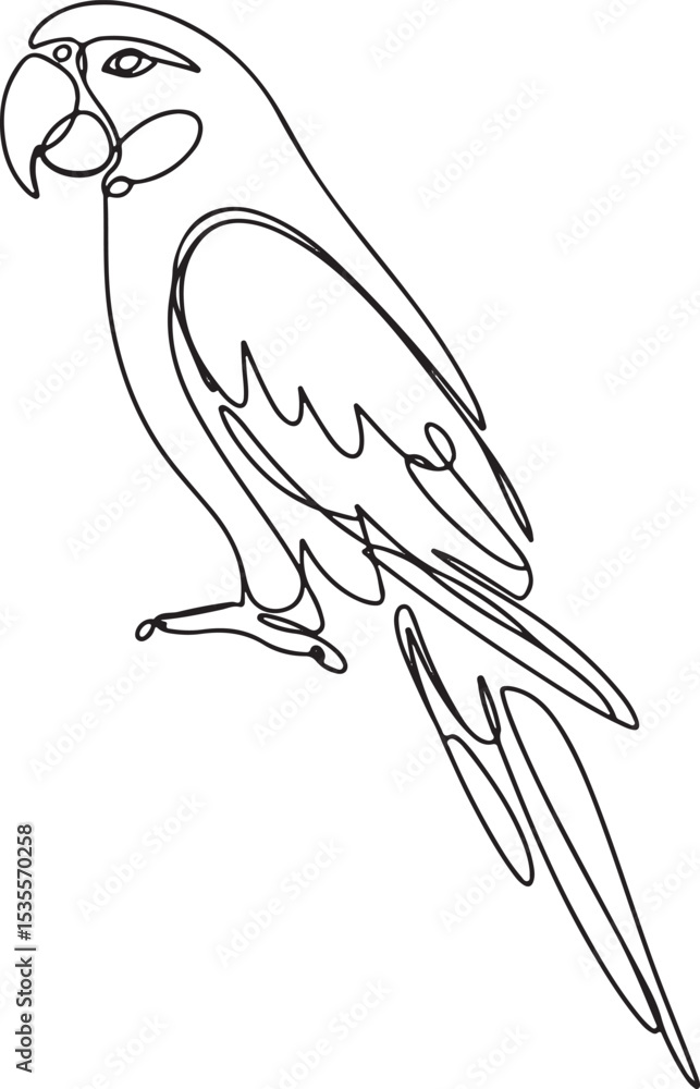Poster continuous line drawing of a parrot perched in side profile with long tail and curved beak on white 