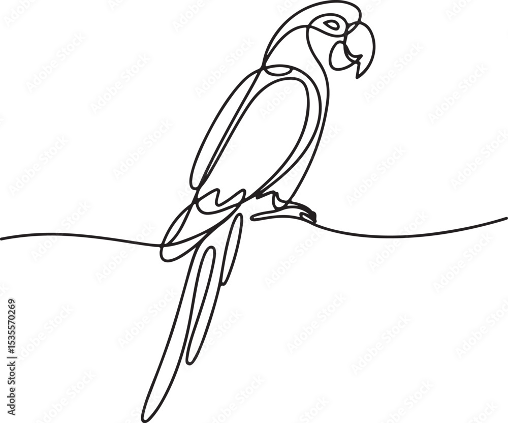 Poster continuous line drawing of a parrot perched in side profile with long tail and curved beak on white 