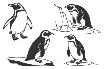 Fototapeta premium Simple black and white line art illustrations of playful penguins in various poses