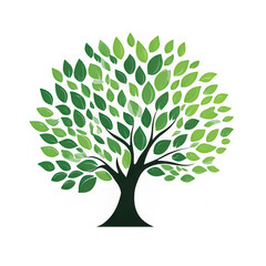 Tree with green leaves isolated transparency background