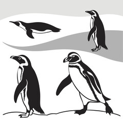 Obraz premium Vector illustration depicting four different penguin poses in a simple black and white style
