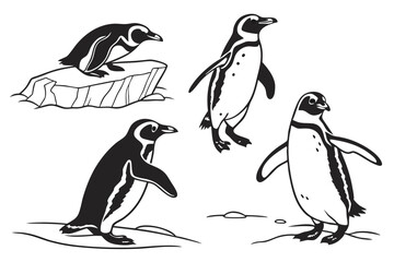 Obraz premium Vector illustration of four different penguin poses in black and white outlines