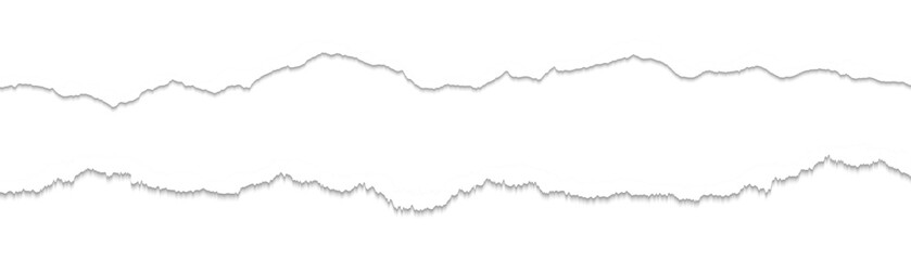 Ripped paper strips with rough torn edges