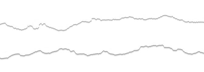 Ripped paper strips with rough torn edges