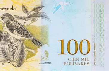 100 Bolivares of Venezuela with portrait of Cardenalitos - Red Siskin (Carduelis cucullata). Money...