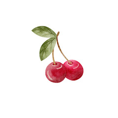 Watercolor illustration of cherry juicy fruit with green leaves branch of two berries red hand drawn on isolated background for packaging design, label, cards, holidays, clothes, dishes