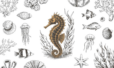 Obraz premium Vector illustration inspired by a detailed hand-drawn marine life collection, seaweed, seashells, tropical fish, seahorses, sea stars, jellyfish, octopus, and marine plants, easily editable.
