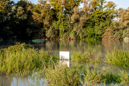 Sunset on a flooded river. flooded area, floodplain