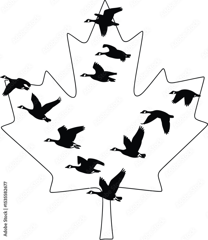 Poster silhouette of flying geese arranged within the outline of a maple leaf on a white background design