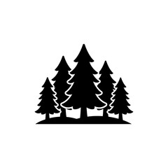 Fototapeta premium Pine Tree Cluster in Winter for Snowy Forest Scene
