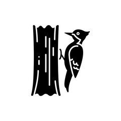 Woodpecker on Tree Trunk, Nature Wildlife Bird