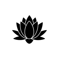 Water Lily Fully Opened on Pond Surface